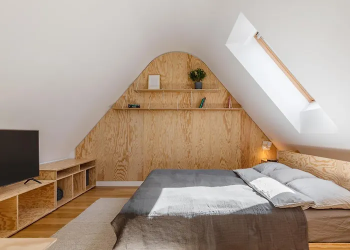 Lejlighed Olarilor *